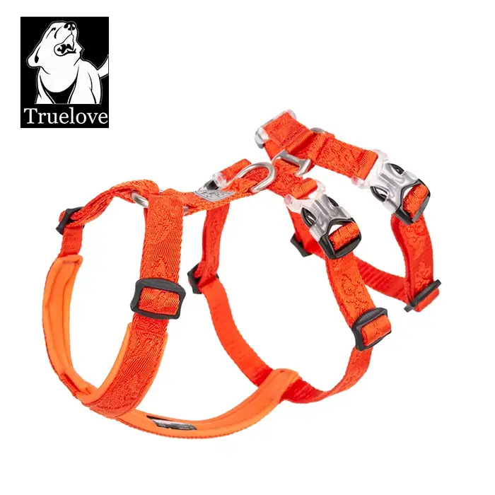 Nylon SFP Double-H personnalisé pour chien