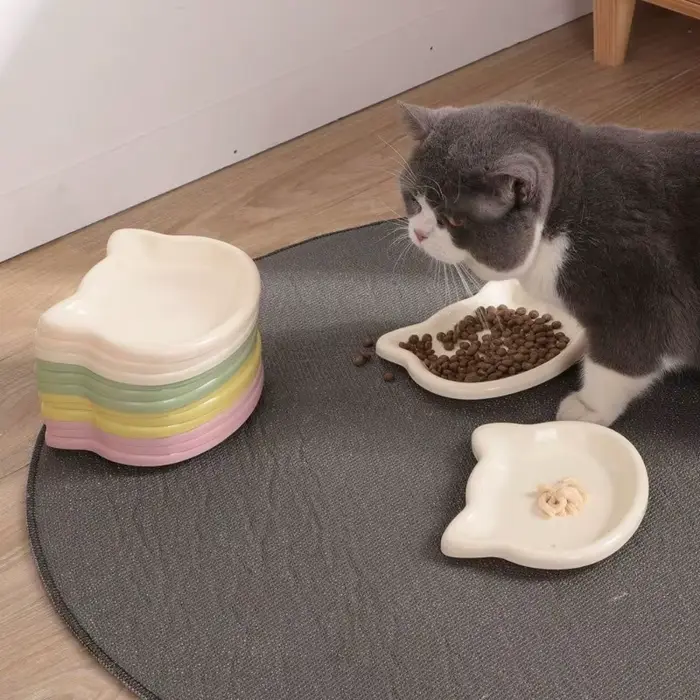 Bol pour chat domestique