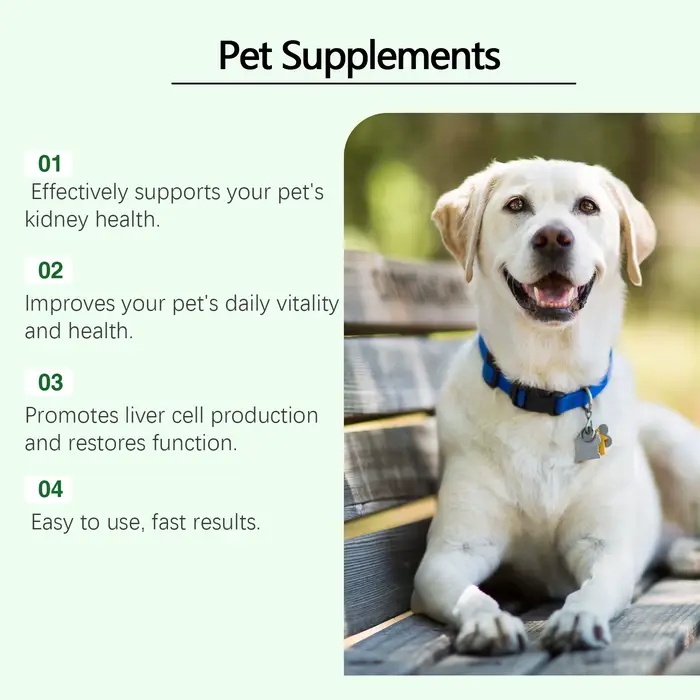 Yegbong Complément de soin pour animaux de compagnie pour favoriser la santé des reins – Améliore la vitalité