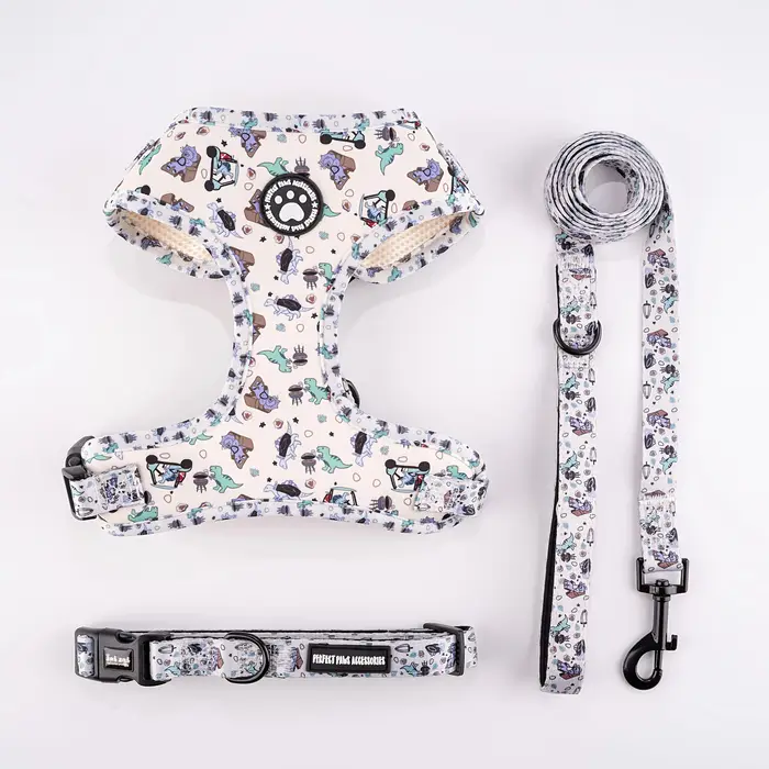 Harnais pour chats, harnais, laisse, accessoires, produits pour animaux de compagnie, chaton, produi