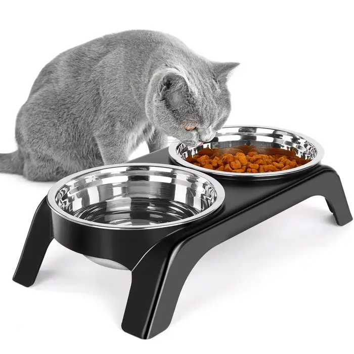 Bols surélevés pour chat, bol pour chien, ensemble de bols d'eau surélevés en acier inoxydable avec 