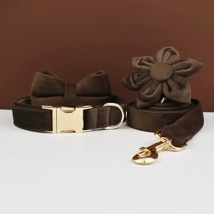 Ensemble collier et laisse pour chien en velours marron foncé, plaque nominative gravée sur mesure, 