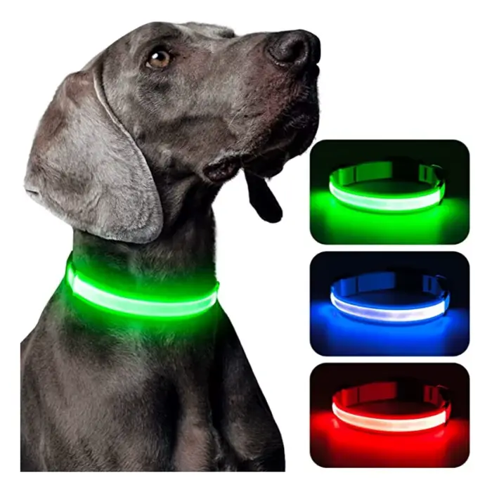 Collier lumineux LED réglable pour chien, rechargeable par USB, clignotant, anti-perte/anti-collisio