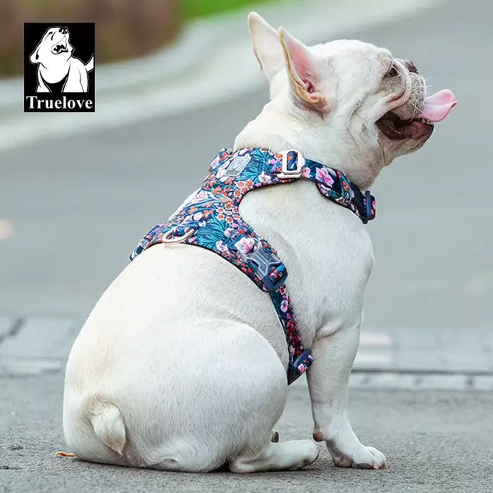Truelove harnais pour chien nouveau