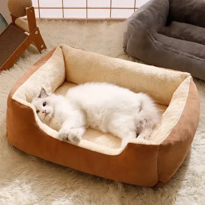 Lit pour chats produits pour animaux de compagnie coussins chaton marchandises accessoires chien toutes les maisons fournitures choses accessoire habitats panier maison lits