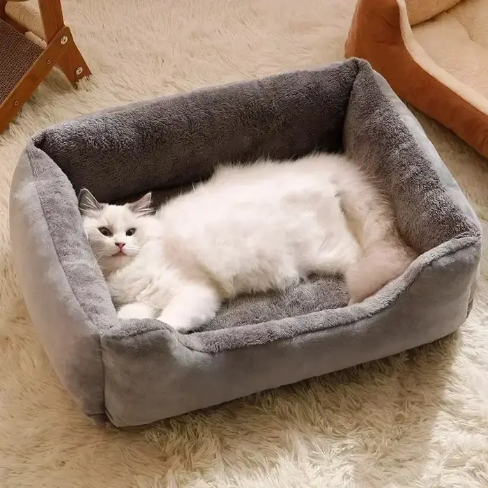 Nouveau lit pour chats
