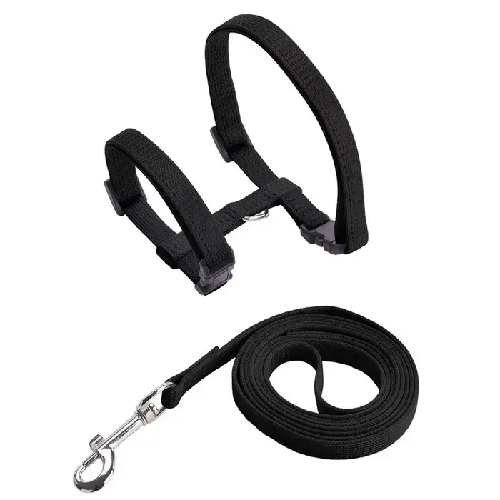 Ensemble de laisse réglable en nylon SFP pour animaux de compagnie, collier licou, marche, évasion, 
