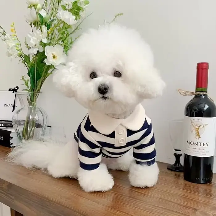 Polo d'été pour chiens, vêtements pour chiots, Bichon Frise, Chihuahua, sweat-shirt à rayures pour c