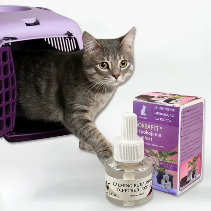 Spray apaisant aux phéromones pour chats 48 ml – Prévient les griffades et les urinations indiscriminées – Phéromone
