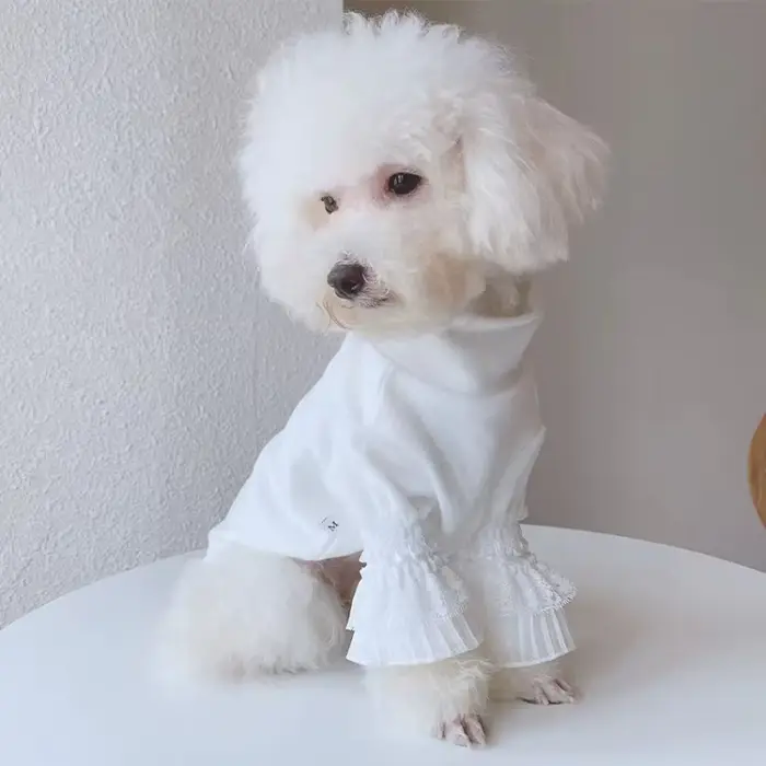 Chien pur blanc chemise à bascule vêtements pour animaux de compagnie blanc chiot chat Teddy printem