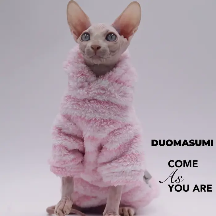 Cardigan en laine de vison pour animaux de compagnie, veste épaisse pour chat Sphinx, vêtements sans