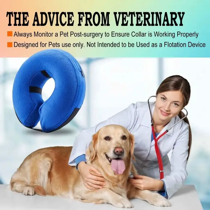 Collier de récupération gonflable pour chien