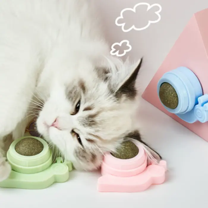 Jouet rotatif à la catnip pour chaton, pour le jeu et le nettoyage des dents