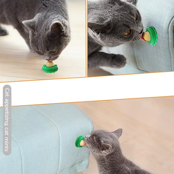 Bonbons léchant l'herbe à chat pour chaton, augmentation du sucre, boule d'énergie potable, collatio