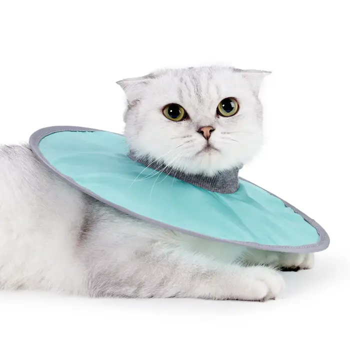 Collier de récupération pour animaux de compagnie, collier élisabéthain, collier de protection pour 