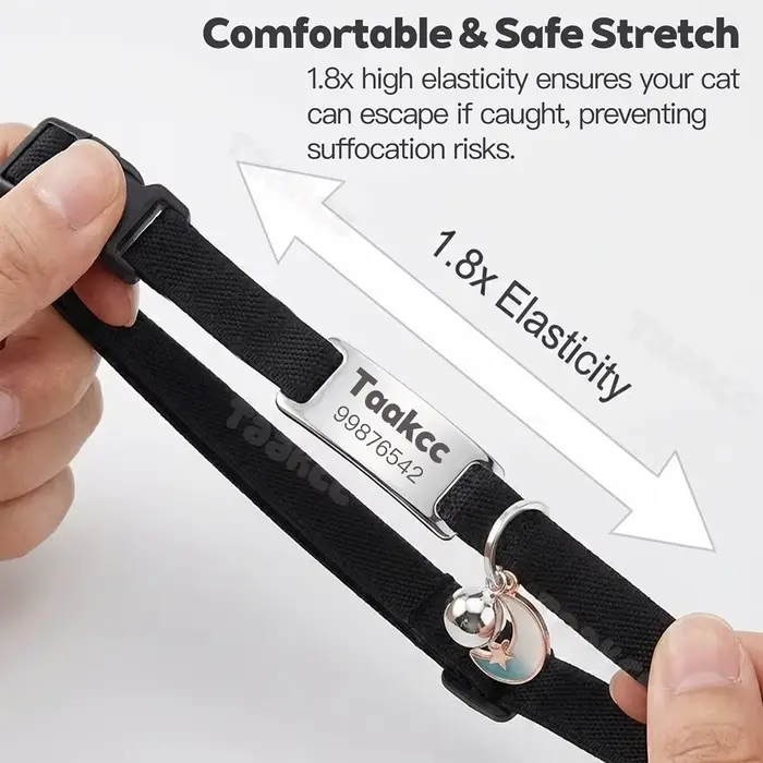Collier élastique personnalisé pour chat