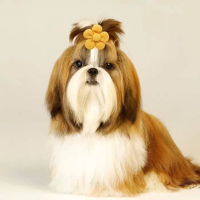 10 pièces printemps chien arcs pour chiot chat fleur nœud papillon bandes de caoutchouc pour chiens 