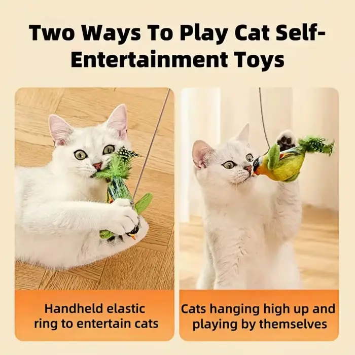 Jouets pour chats d'intérieur