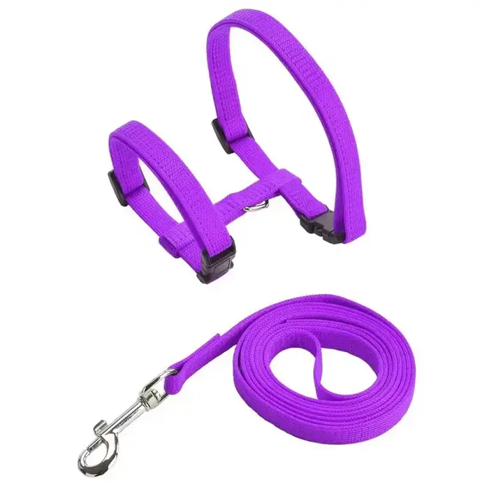 Ensemble harnais et laisse pour chat réglables et légers, collier de sangle pour chaton anti-fuite p