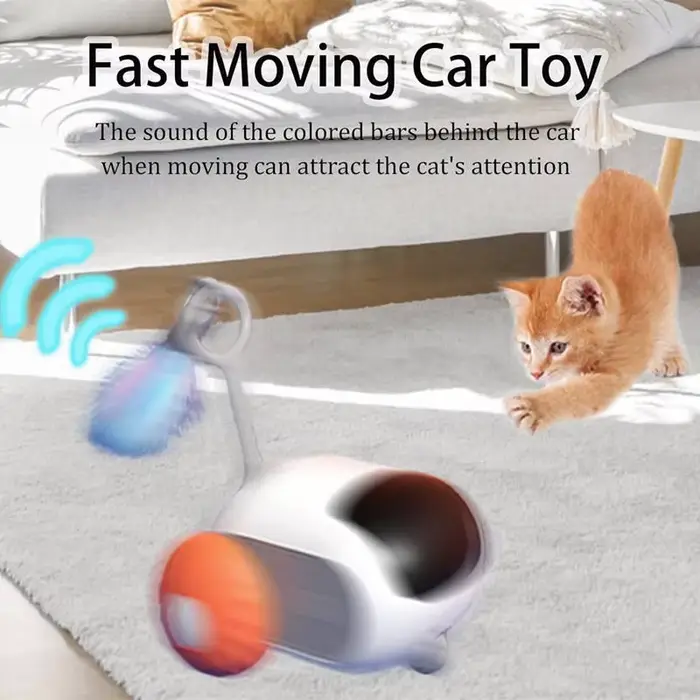 Jouets électriques pour chat