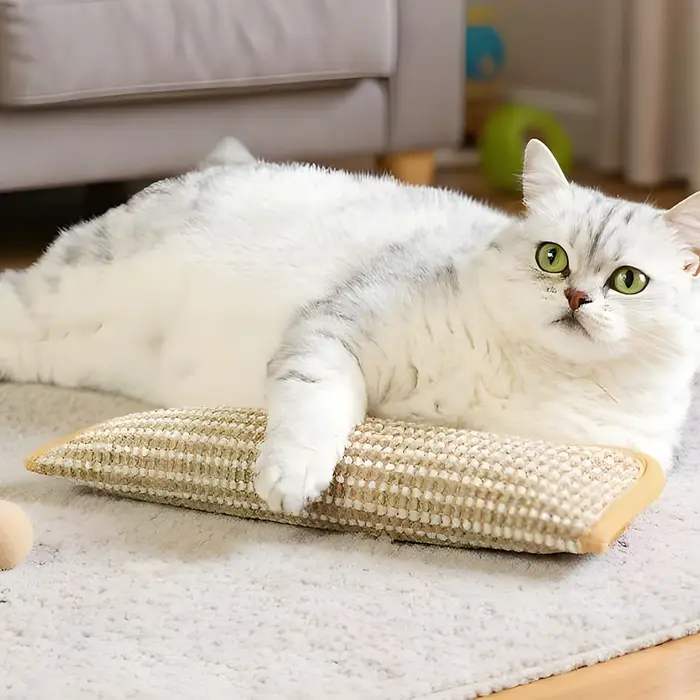 Jouets interactifs pour chat : Griffoir