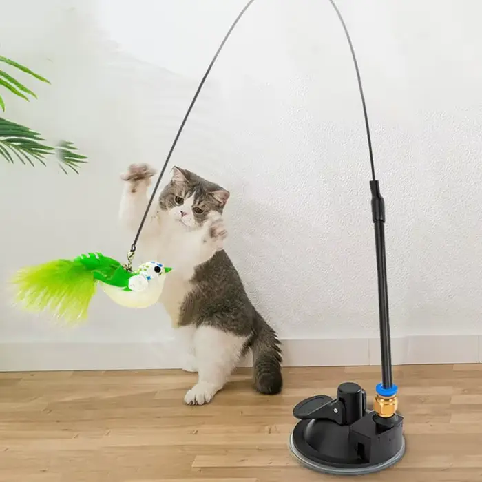 Jouet coule simulant un oiseau pour chat, ventouse interactive, cloche à plumes, jouets amusants pou