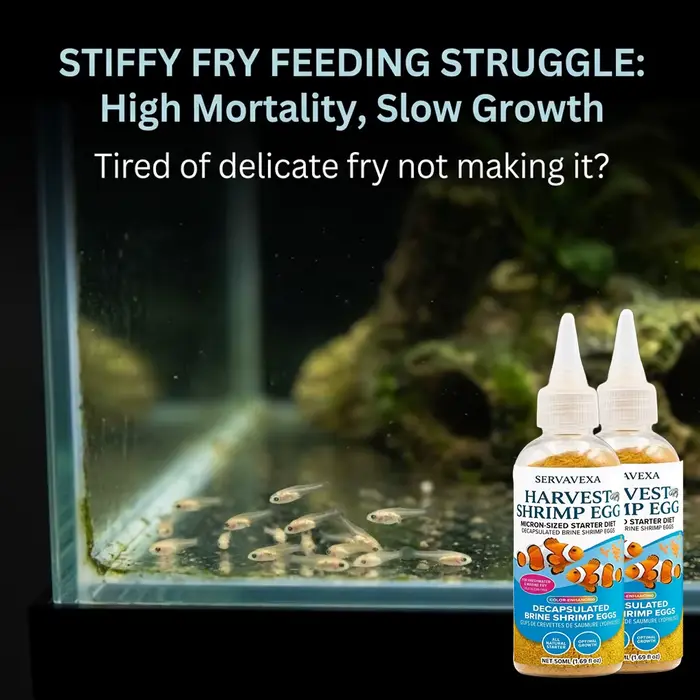 Nourriture pour poissons riches en protéines pour béta et guppy