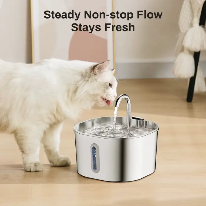 Fontaine d'eau automatique pour chat