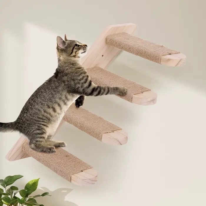 Étagère murale d'escalade pour chat, échelle à quatre marches, structure d'escalade pour chat, acces