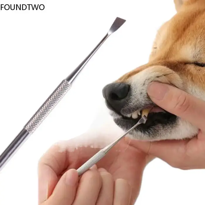 Outil de livres de dents pour animaux de compagnie, acier inoxydable, double tête, dissolvant de tar