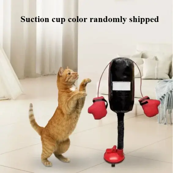 Jouet de sac de frappe pour chat de dessin animé avec gants de boxe et ventouse, jouet d'intérieur p