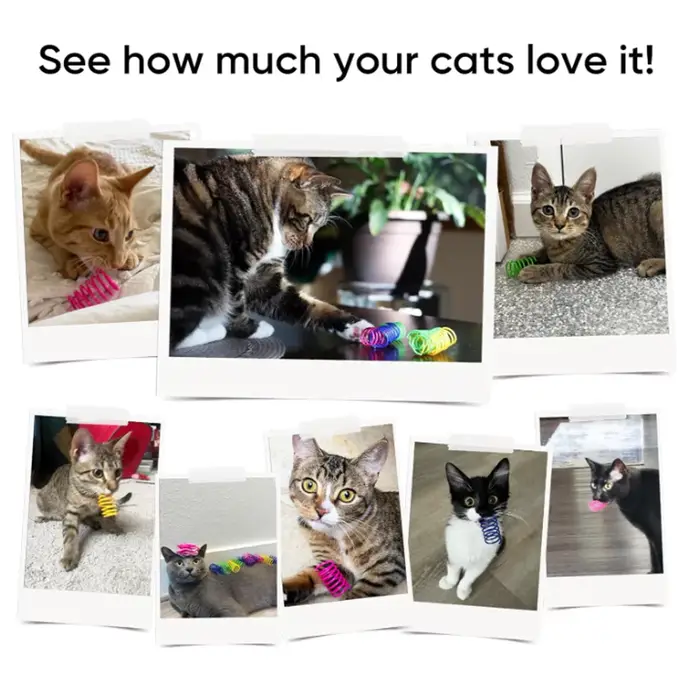 4 jouets pour chats d'intérieur