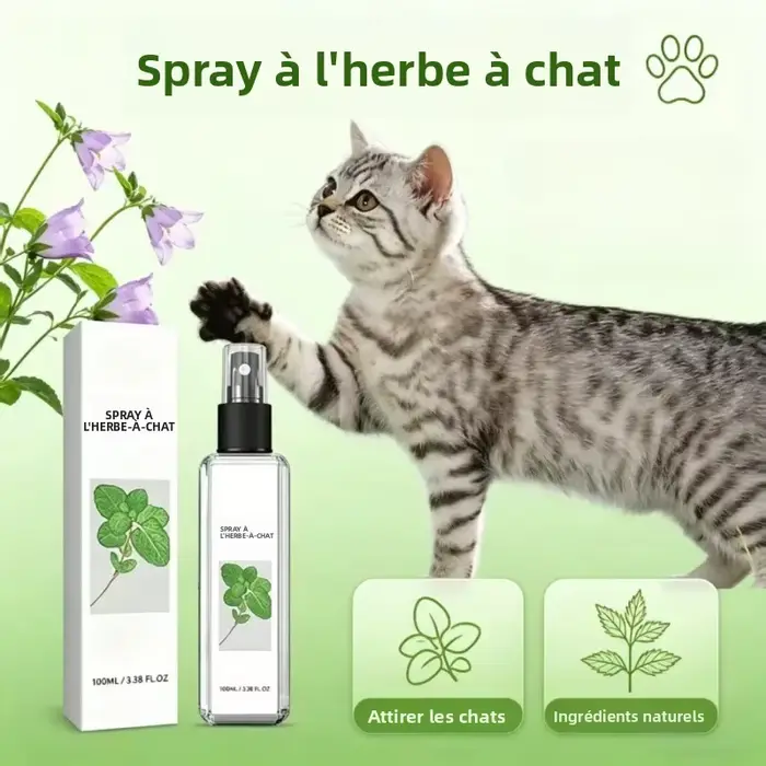 Spray Apaisant à la Menthe pour Chat – Soulagement de l'Anxiété