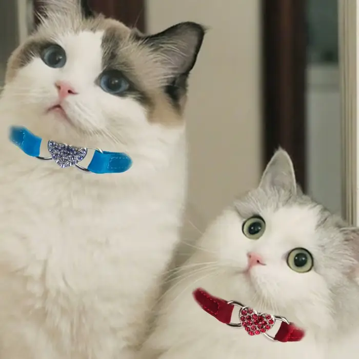 Collier pour chat en forme de cœur avec cloche