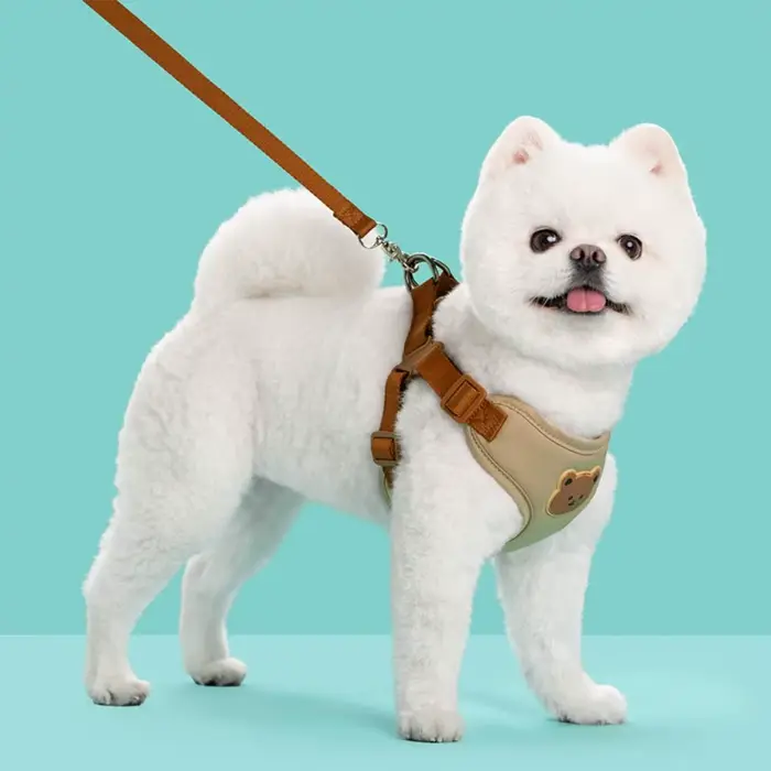 Harnais créatif et mignon pour animaux de compagnie