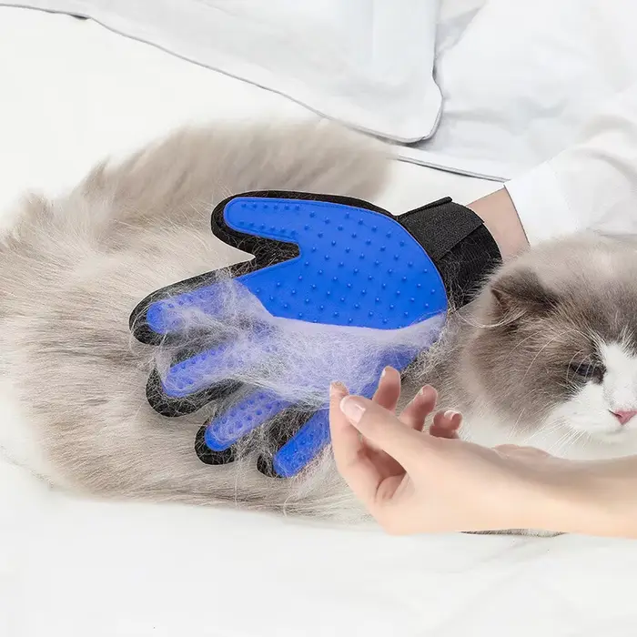 Gant de toilettage pour chat