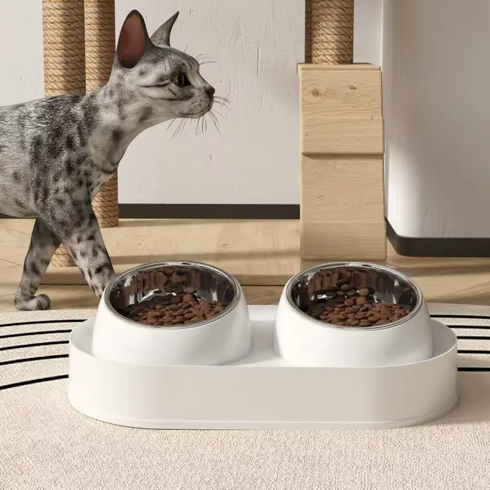Bol double en céramique pour chat 2-en-1