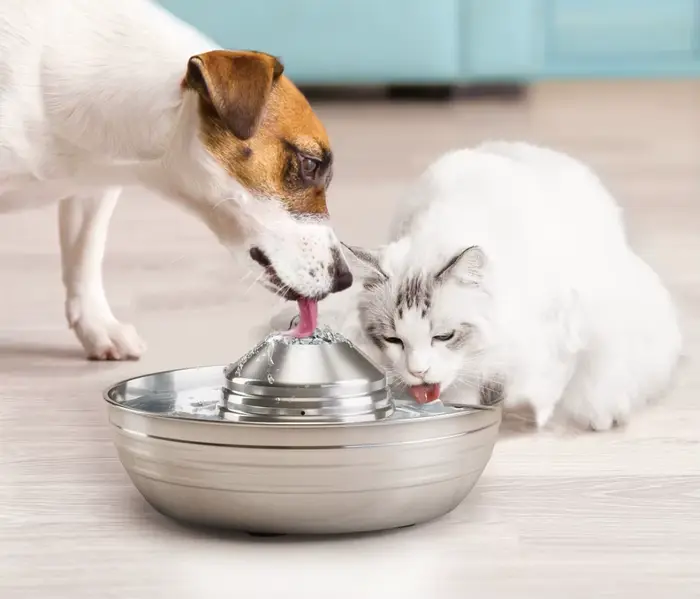 Fontaine à eau automatique 2LCat pour chats