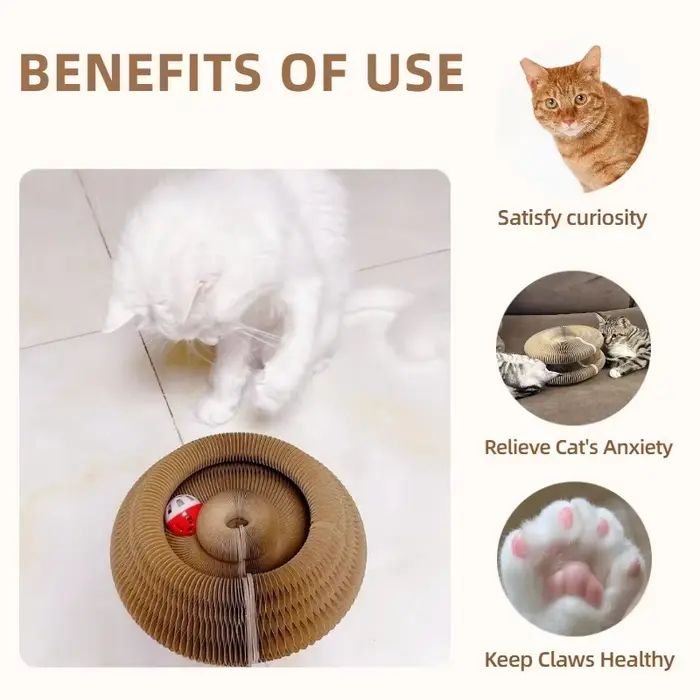 Jouet pour chat, griffoir rond en carton ondulé, jouets pour chat, accessoires pour chat, pour aiguiser les griffes