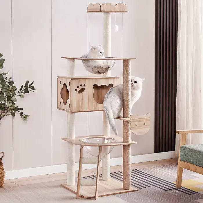 Arbre à chat multi-niveaux pour chats de grande taille