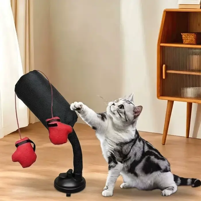 Jouet de combat pour chat en forme de dessin animé avec gants de boxe et ventouse, jouet d'intérieur