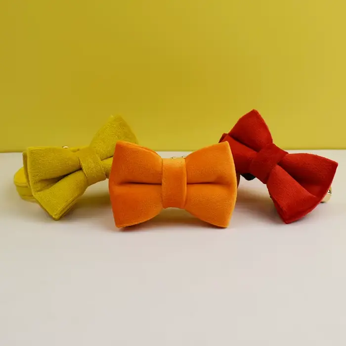 Collier pour chat en velours personnalisé avec étiquette d'identification, collier pour chaton avec 