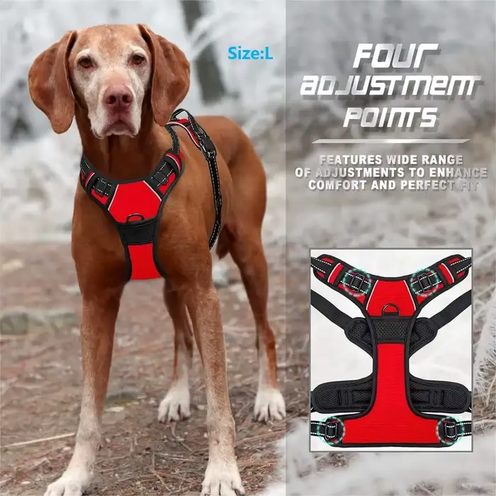 Colliers pour chiens, harnais, grands gilets, laisse, boutique d'animaux, tout pour chiens, accessoi