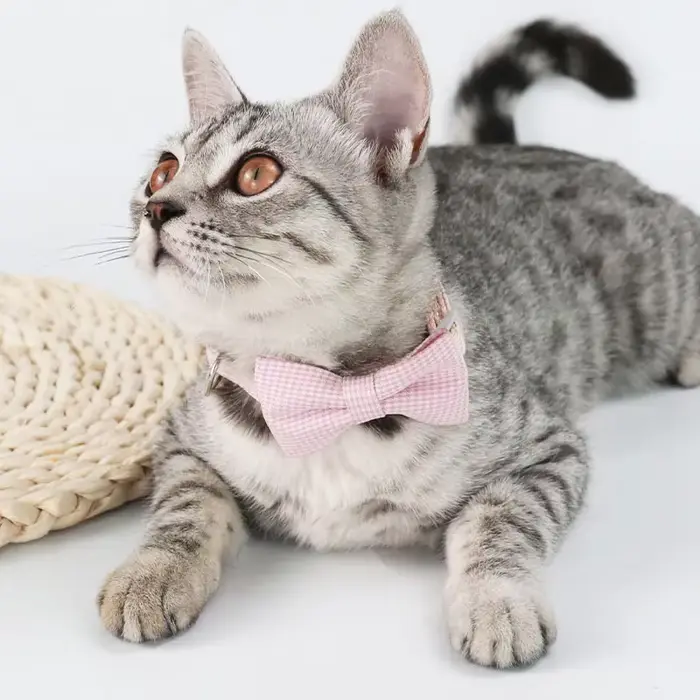 Collier pour chat mignon avec nœud papillon