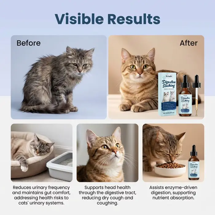 Gouttes apaisantes pour la digestion des chats
