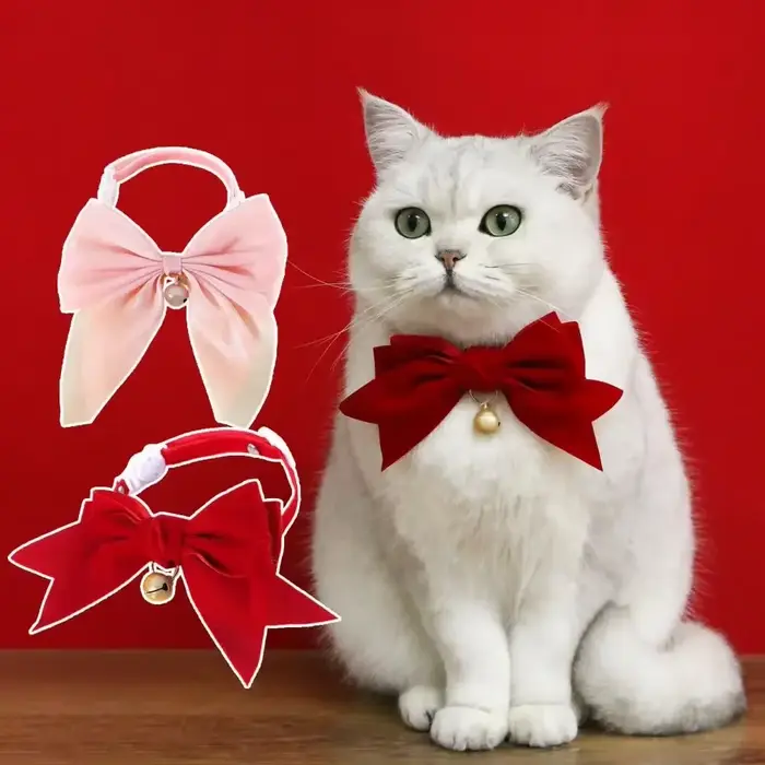 Collier pour animaux de compagnie
