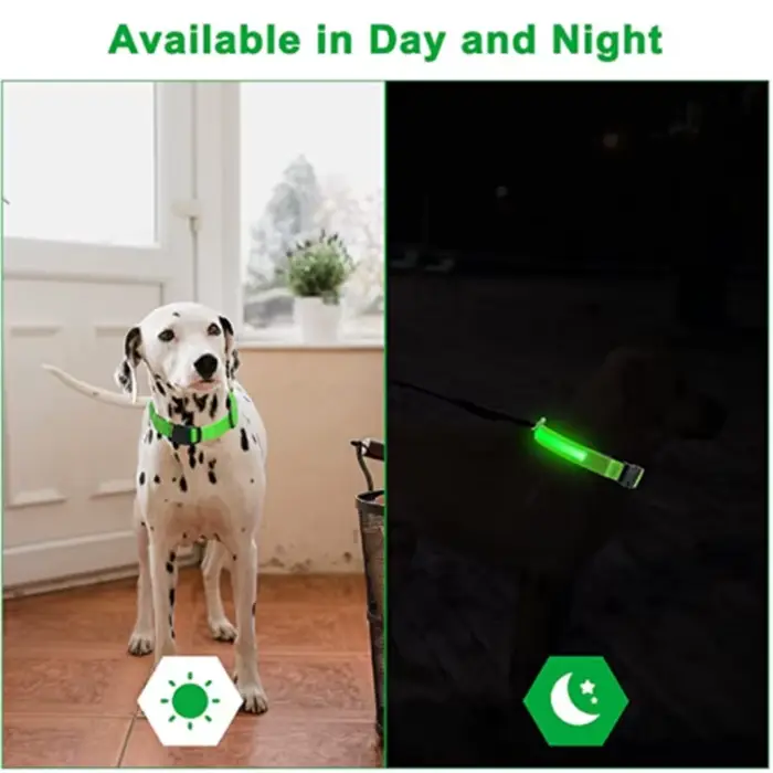 Collier de chien lumineux LED réglable clignotant Rechargea collier lumineux nuit Anti-perte harnais