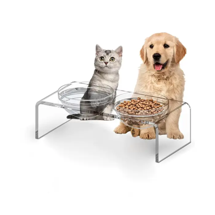 Support de gamelle pour animaux de compagnie, support d'alimentation pour nourriture et eau, adapté