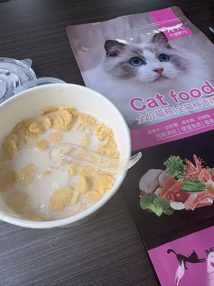 Nourriture pour chatons adaptée aux chatons nouveau-nés, supplément de protéines