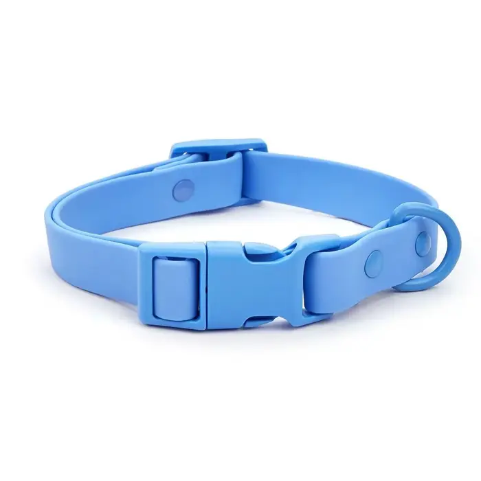 Collier de chien à sangle élastique, identification des animaux de compagnie, réglable, étanche, san